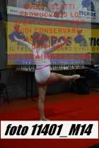11401_M14-