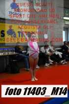 11403_M14-