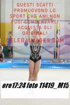 11419_M15-