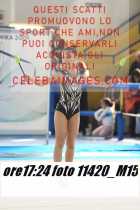 11420_M15-