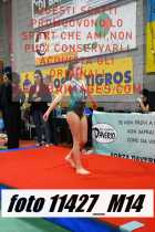 11427_M14-