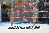 11427_M15-