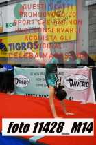 11428_M14-