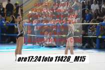 11428_M15-