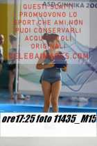 11435_M15-
