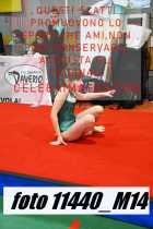 11440_M14-