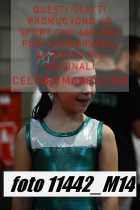 11442_M14-