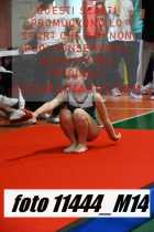 11444_M14-