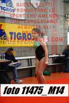 11475_M14-
