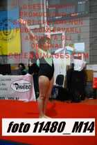 11480_M14-