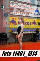 11481_M14-