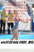 11491_M15-