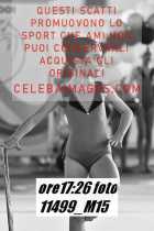 11499_M15-
