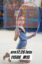 11508_M15-