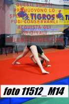 11512_M14-