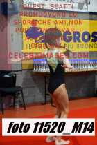11520_M14-