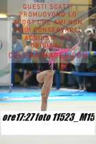 11523_M15-
