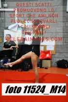 11524_M14-
