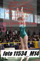 11534_M14-