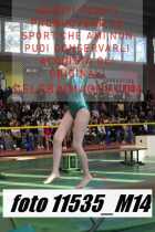 11535_M14-