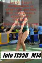 11558_M14-