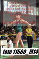 11560_M14-