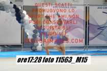 11563_M15-