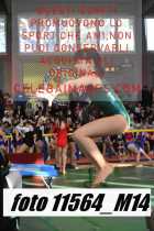 11564_M14-