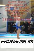 11571_M15-