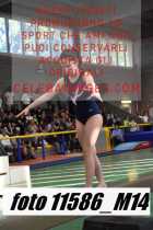 11586_M14-