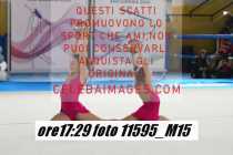 11595_M15-