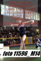 11596_M14-