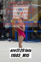 11603_M15-