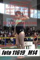 11619_M14-
