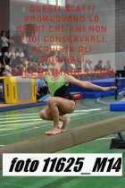 11625_M14-