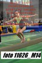 11626_M14-