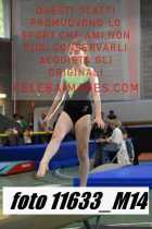 11633_M14-