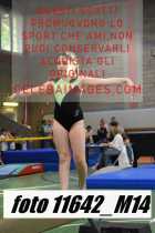 11642_M14-