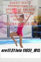 11651_M15-