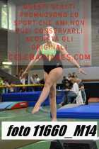 11660_M14-
