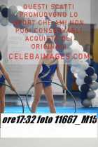 11667_M15-