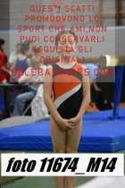 11674_M14-