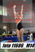 11686_M14-