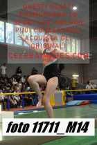 11711_M14-