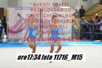 11716_M15-