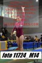 11724_M14-