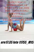 11755_M15-
