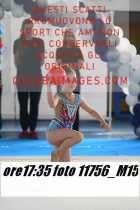 11756_M15-
