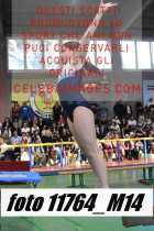 11764_M14-
