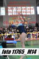 11765_M14-
